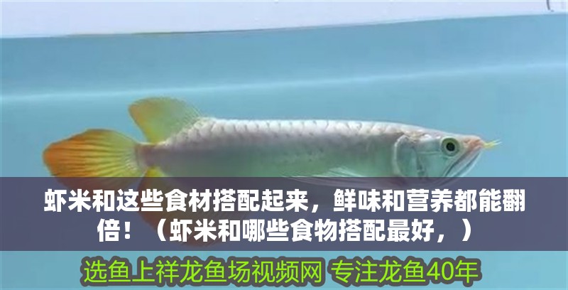 蝦米和這些食材搭配起來，鮮味和營養都能翻倍！（蝦米和哪些食物搭配最好，）