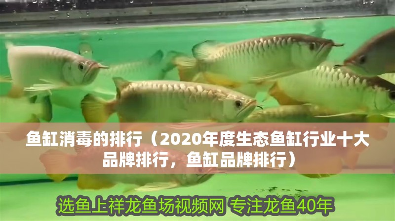 魚缸消毒的排行（2020年度生態魚缸行業十大品牌排行，魚缸品牌排行）