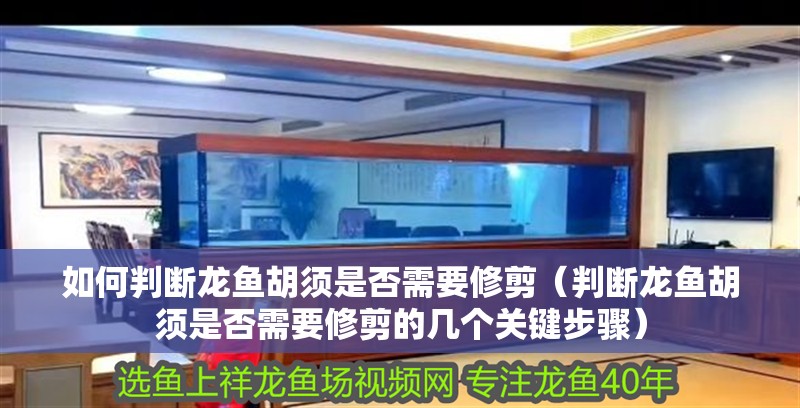如何判斷龍魚胡須是否需要修剪（判斷龍魚胡須是否需要修剪的幾個關鍵步驟）