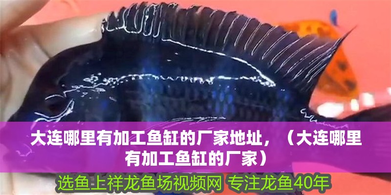 大連哪里有加工魚缸的廠家地址，（大連哪里有加工魚缸的廠家）