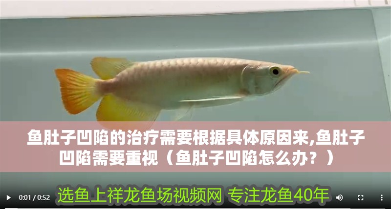 魚肚子凹陷的治療需要根據具體原因來,魚肚子凹陷需要重視（魚肚子凹陷怎么辦？）