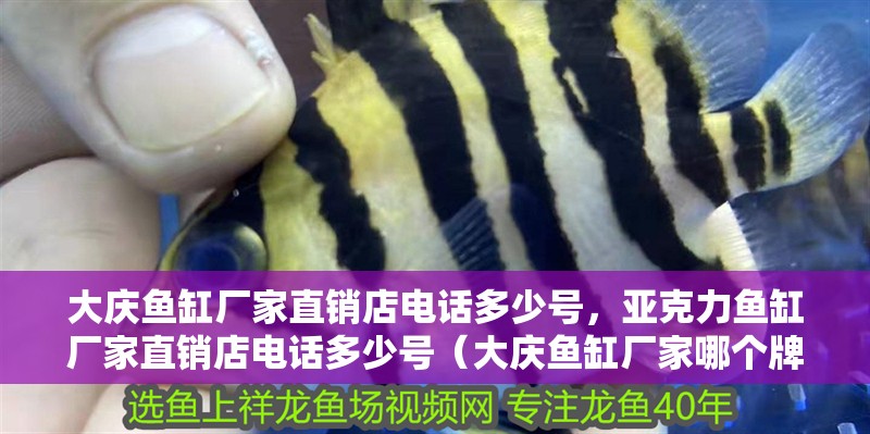 大慶魚缸廠家直銷店電話多少號，亞克力魚缸廠家直銷店電話多少號（大慶魚缸廠家哪個牌子好）