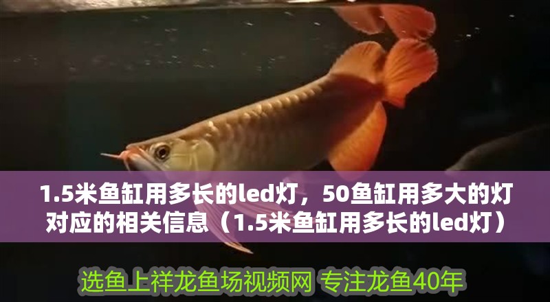 1.5米魚缸用多長的led燈，50魚缸用多大的燈對(duì)應(yīng)的相關(guān)信息（1.5米魚缸用多長的led燈）