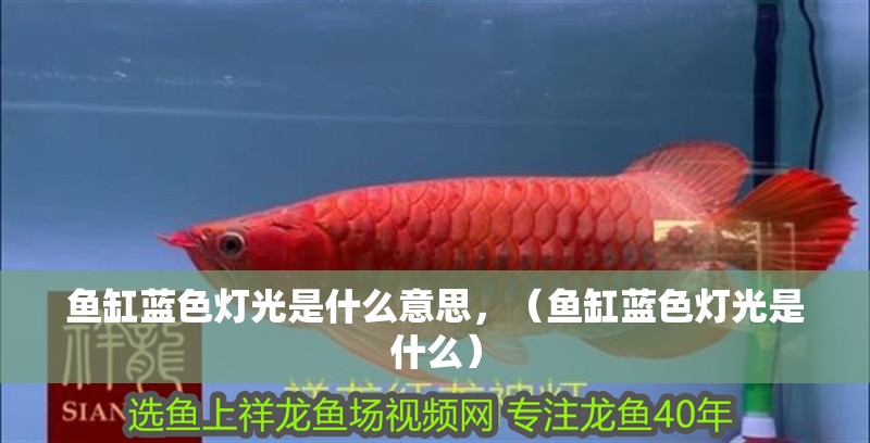 魚(yú)缸藍(lán)色燈光是什么意思，（魚(yú)缸藍(lán)色燈光是什么）