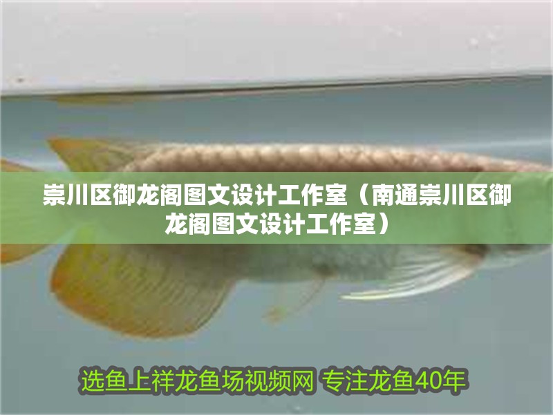 崇川區御龍閣圖文設計工作室（<strong><mark>南通</mark></strong>崇川區御龍閣圖文設計工作室）