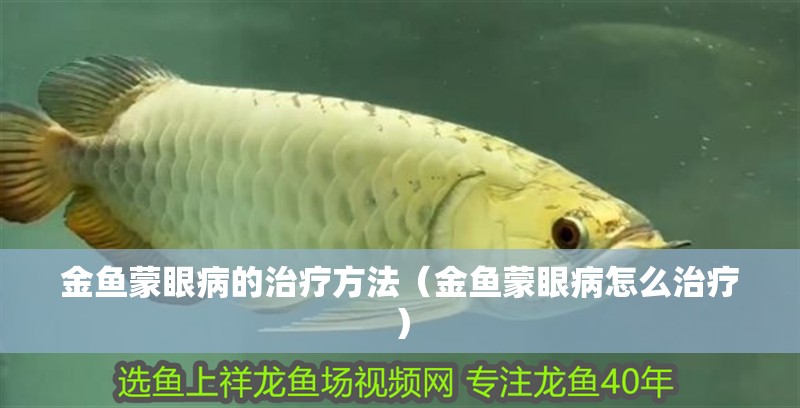 金魚(yú)蒙眼病的治療方法（金魚(yú)蒙眼病怎么治療）