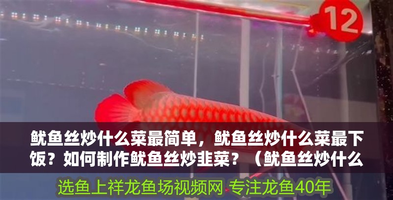 魷魚絲炒什么菜最簡單，魷魚絲炒什么菜最下飯？如何制作魷魚絲炒韭菜？（魷魚絲炒什么菜最下飯魷魚絲炒什么菜最下飯）