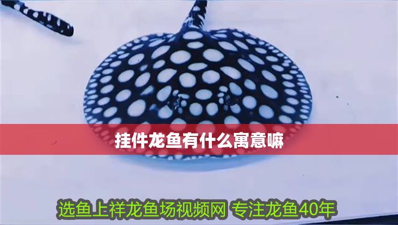 掛件龍魚有什么寓意嘛