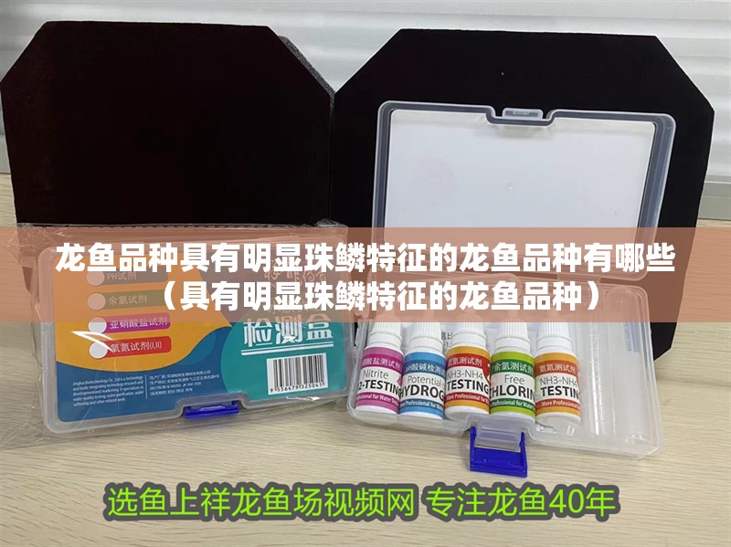 龍魚品種具有明顯珠鱗特征的龍魚品種有哪些（具有明顯珠鱗特征的龍魚品種）
