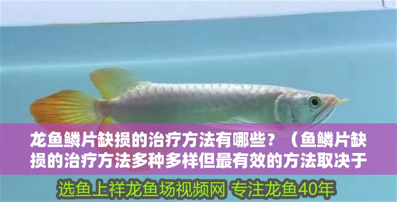 龍魚鱗片缺損的治療方法有哪些？（魚鱗片缺損的治療方法多種多樣但最有效的方法取決于缺損的程度和原因）