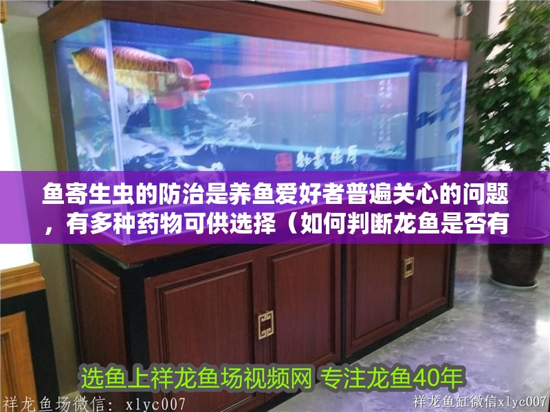 魚寄生蟲的防治是養魚愛好者普遍關心的問題，有多種藥物可供選擇（如何判斷龍魚是否有寄生蟲）