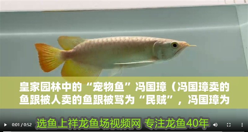 皇家園林中的“寵物魚”馮國璋（馮國璋賣的魚跟被人賣的魚跟被罵為“民賊”，馮國璋為難了） 皇家園林中的“寵物魚”馮國璋（馮國璋賣的魚跟被人賣的魚跟被罵為“民賊”，馮國璋為難了） 觀賞魚百科