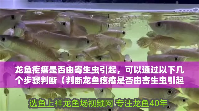 龍魚疙瘩是否由寄生蟲引起，可以通過以下幾個步驟判斷（判斷龍魚疙瘩是否由寄生蟲引起）
