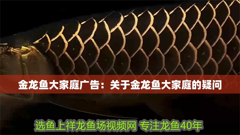 金龍魚大家庭廣告：關于金龍魚大家庭的疑問