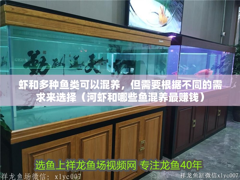 蝦和多種魚類可以混養(yǎng)，但需要根據(jù)不同的需求來選擇（河蝦和哪些魚混養(yǎng)最賺錢）