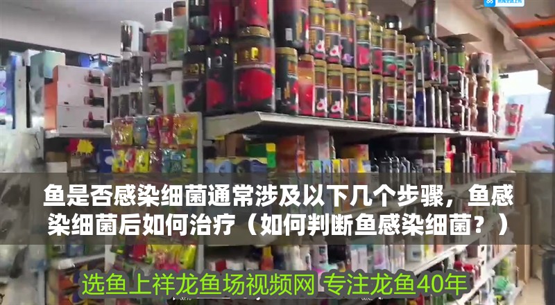 魚是否感染細菌通常涉及以下幾個步驟，魚感染細菌后如何治療（如何判斷魚感染細菌？）