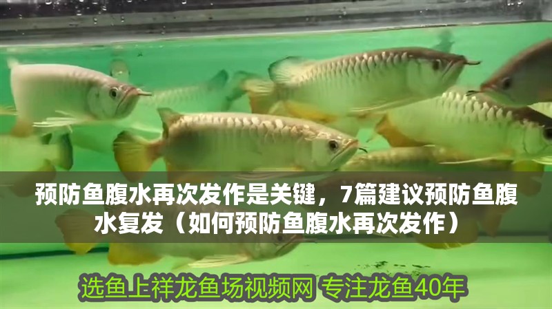 預(yù)防魚(yú)腹水再次發(fā)作是關(guān)鍵，7篇建議預(yù)防魚(yú)腹水復(fù)發(fā)（如何預(yù)防魚(yú)腹水再次發(fā)作）