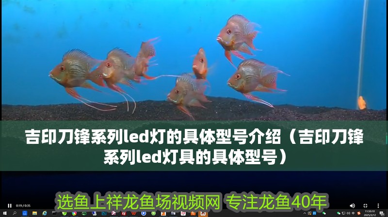 吉印刀鋒系列led燈的具體型號介紹（吉印刀鋒系列led燈具的具體型號）