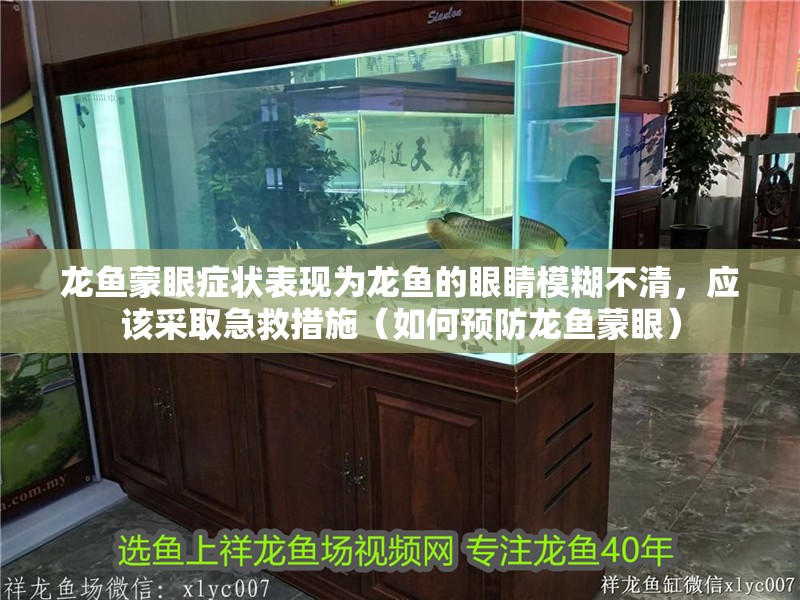龍魚蒙眼癥狀表現為龍魚的眼睛模糊不清，應該采取急救措施（如何預防龍魚蒙眼）