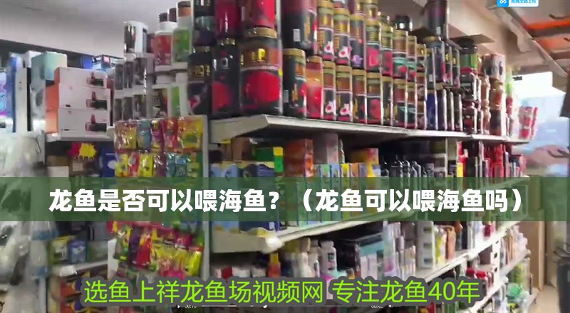 龍魚是否可以喂海魚？（龍魚可以喂海魚嗎）