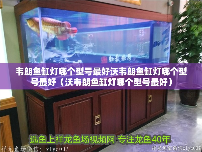 韋朗魚缸燈哪個型號最好沃韋朗魚缸燈哪個型號最好（沃韋朗魚缸燈哪個型號最好）