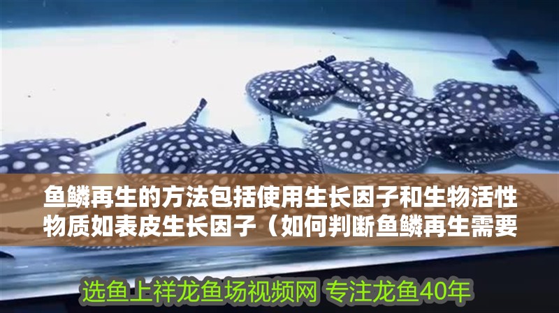 魚鱗再生的方法包括使用生長因子和生物活性物質如表皮生長因子（如何判斷魚鱗再生需要多長時間，哪些食物對魚鱗再生最有效？）