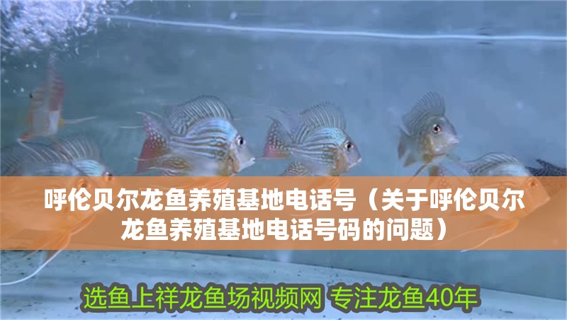 呼倫貝爾龍魚養殖基地電話號（關于呼倫貝爾龍魚養殖基地電話號碼的問題）