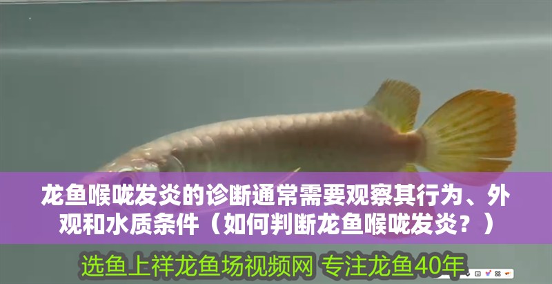 龍魚喉嚨發炎的診斷通常需要觀察其行為、外觀和水質條件（如何判斷龍魚喉嚨發炎？）