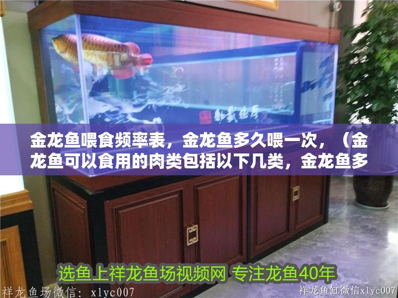 金龍魚喂食頻率表，金龍魚多久喂一次，（金龍魚可以食用的肉類包括以下幾類，金龍魚多久喂一次）