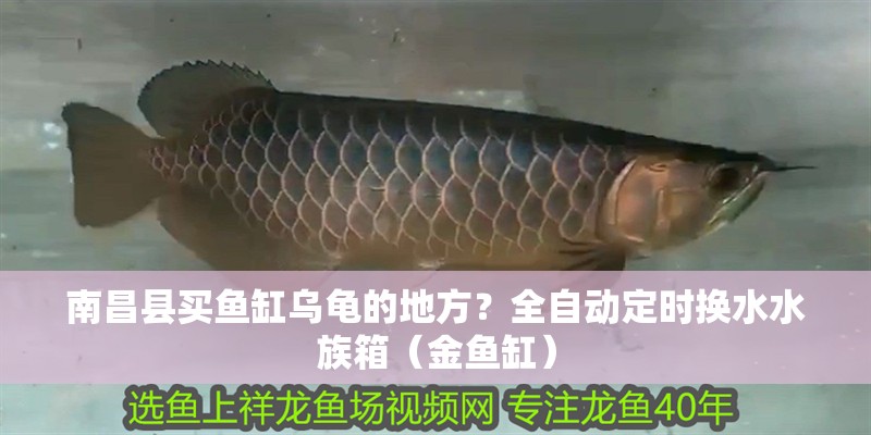 南昌縣買魚缸烏龜的地方？全自動定時換水水族箱（金魚缸）