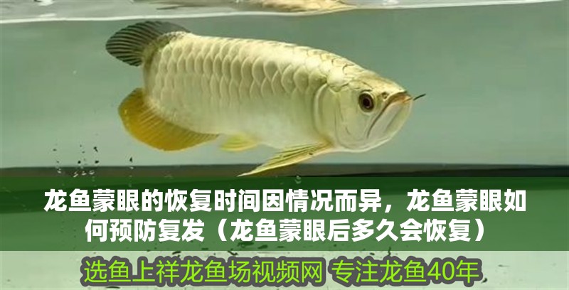 龍魚蒙眼的恢復時間因情況而異，龍魚蒙眼如何預防復發（龍魚蒙眼后多久會恢復）
