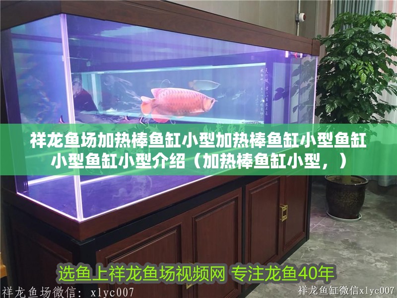 祥龍魚場加熱棒魚缸小型加熱棒魚缸小型魚缸小型魚缸小型介紹（加熱棒魚缸小型，）