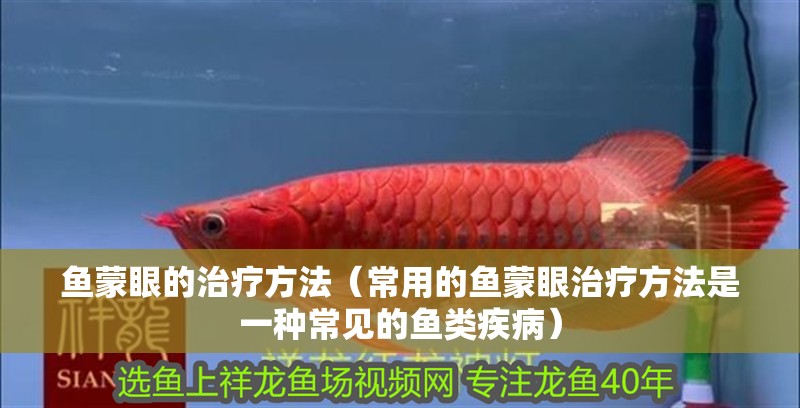 魚蒙眼的治療方法（常用的魚蒙眼治療方法是一種常見的魚類疾病）