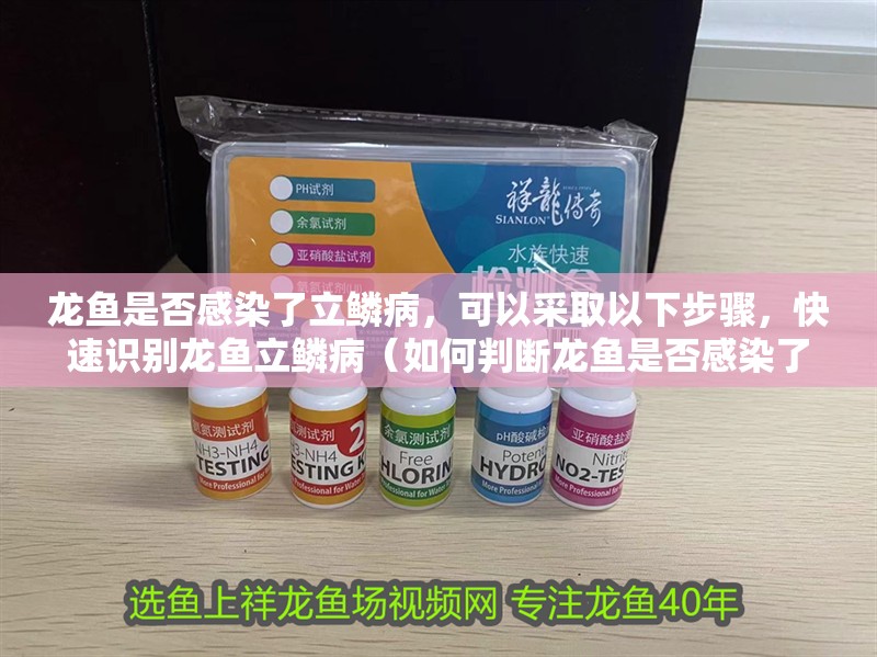 龍魚是否感染了立鱗病，可以采取以下步驟，快速識別龍魚立鱗病（如何判斷龍魚是否感染了立鱗病）