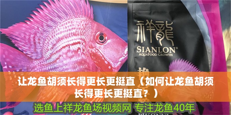 讓龍魚胡須長得更長更挺直（如何讓龍魚胡須長得更長更挺直？）