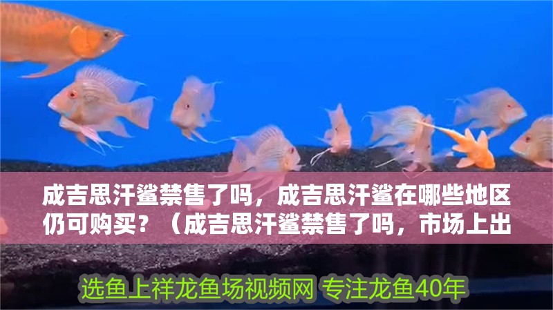 成吉思汗鯊禁售了嗎，成吉思汗鯊在哪些地區(qū)仍可購買？（成吉思汗鯊禁售了嗎，市場上出現(xiàn)了關于成吉思汗鯊魚肉的討論）