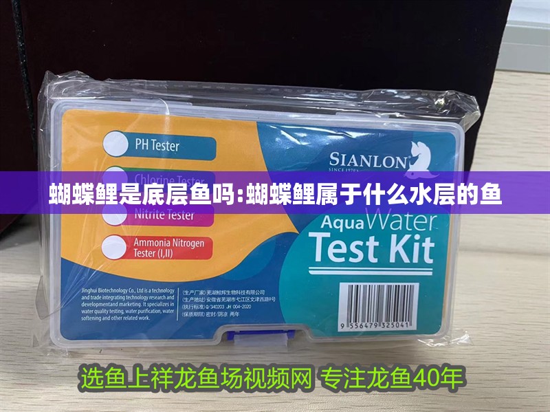 蝴蝶鯉是底層魚嗎:蝴蝶鯉屬于什么水層的魚 蝴蝶鯉是底層魚嗎:蝴蝶鯉屬于什么水層的魚 觀賞魚百科