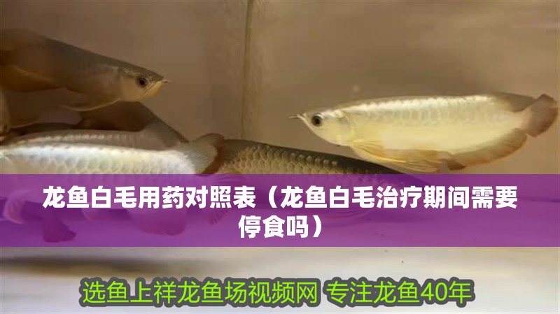 龍魚白毛用藥對(duì)照表（龍魚白毛治療期間需要停食嗎）