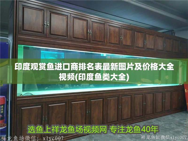 印度觀賞魚進口商排名表最新圖片及價格大全視頻(印度魚類大全)