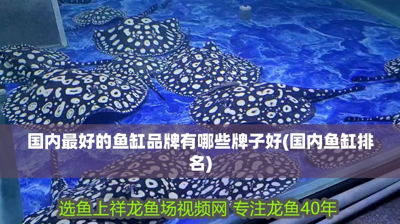 國內最好的魚缸品牌有哪些牌子好(國內魚缸排名)