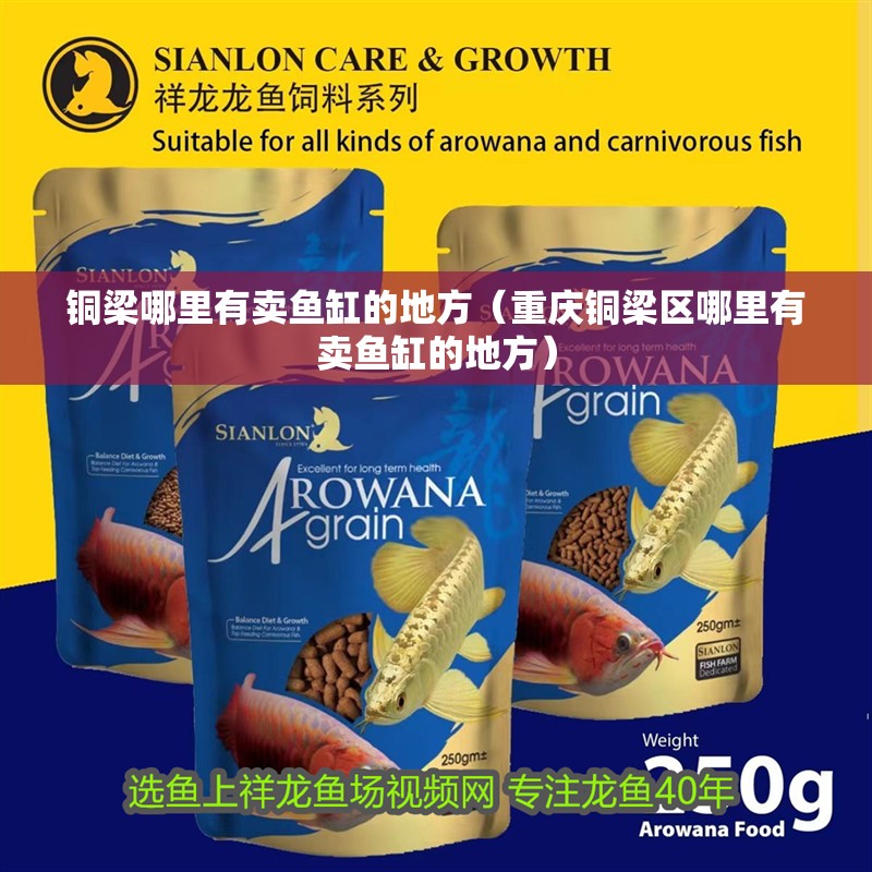 銅梁哪里有賣(mài)魚(yú)缸的地方（重慶銅梁區(qū)哪里有賣(mài)魚(yú)缸的地方）