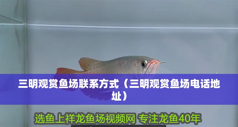 三明觀賞魚場聯系方式（三明觀賞魚場電話地址）