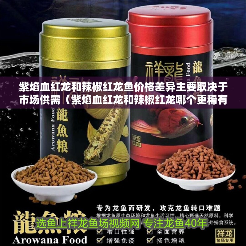 紫焰血紅龍和辣椒紅龍魚價格差異主要取決于市場供需（紫焰血紅龍和辣椒紅龍哪個更稀有？）
