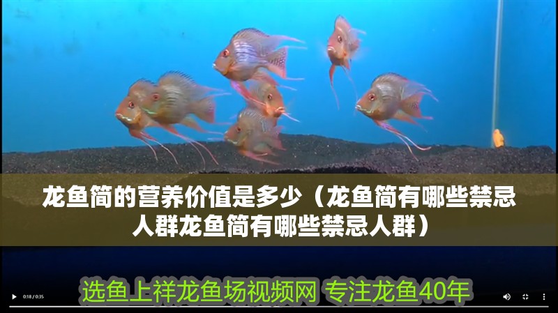 龍魚簡的營養價值是多少（龍魚簡有哪些禁忌人群龍魚簡有哪些禁忌人群）