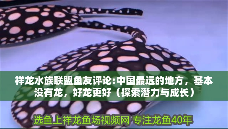 我的虎魚真菌感染了要怎么處理 祥龍水族聯盟魚友評論:中國最遠的地方,基本沒有龍,好龍更好(探索潛力與成長) 觀賞魚百科 祥龍水族聯盟魚友評論:中國最遠的地方,基本沒有龍,好龍更好(探索潛力與成長) 祥龍水族聯盟魚友評論:中國最遠的地方,基本沒有龍,好龍更好(探索潛力與成長) 觀賞魚百科