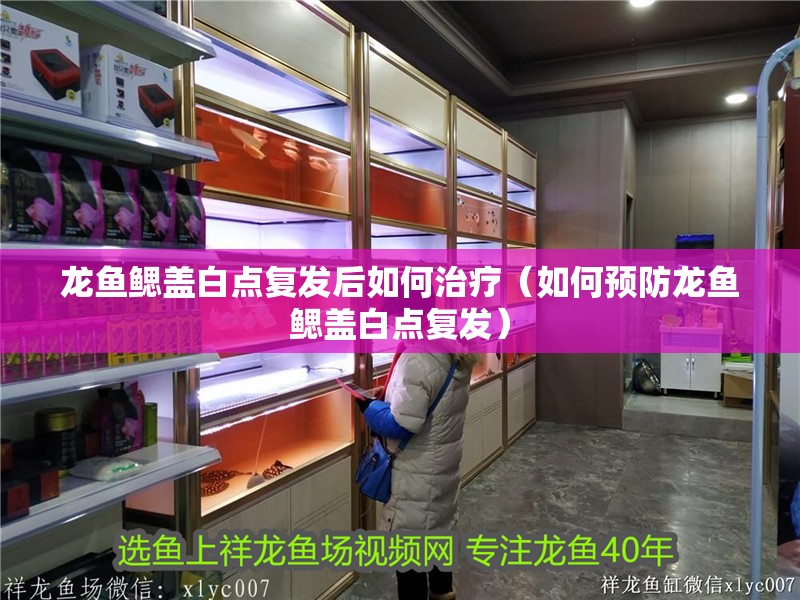 龍魚鰓蓋白點復發后如何治療（如何預防龍魚鰓蓋白點復發）