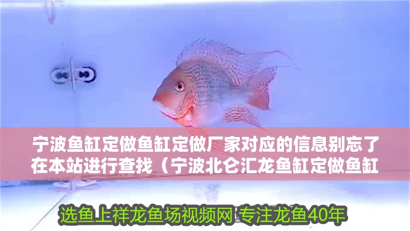 寧波魚缸定做魚缸定做廠家對應(yīng)的信息別忘了在本站進(jìn)行查找（寧波北侖匯龍魚缸定做魚缸定做魚缸定做廠家對應(yīng)的信息） 寧波魚缸定做魚缸定做廠家對應(yīng)的信息別忘了在本站進(jìn)行查找（寧波北侖匯龍魚缸定做魚缸定做魚缸定做廠家對應(yīng)的信息） 觀賞魚百科