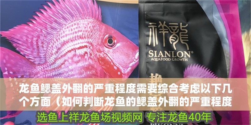 龍魚鰓蓋外翻的嚴重程度需要綜合考慮以下幾個方面（如何判斷龍魚的鰓蓋外翻的嚴重程度）