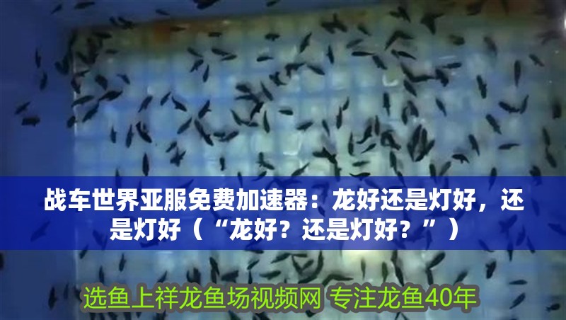 戰(zhàn)車世界亞服免費加速器：龍好還是燈好，還是燈好（“龍好？還是燈好？”）