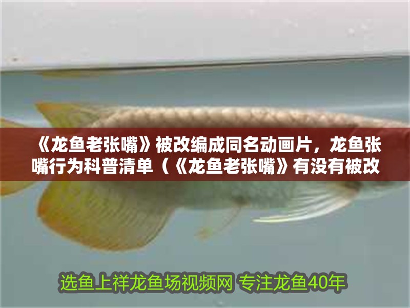 《龍魚老張嘴》被改編成同名動(dòng)畫片，龍魚張嘴行為科普清單（《龍魚老張嘴》有沒有被改編成動(dòng)畫？）